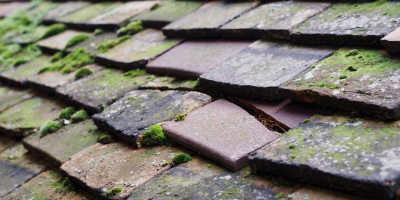 Clunderwen roof repair costs